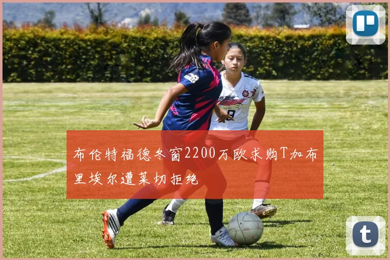 布伦特福德冬窗2200万欧求购T加布里埃尔遭莱切拒绝