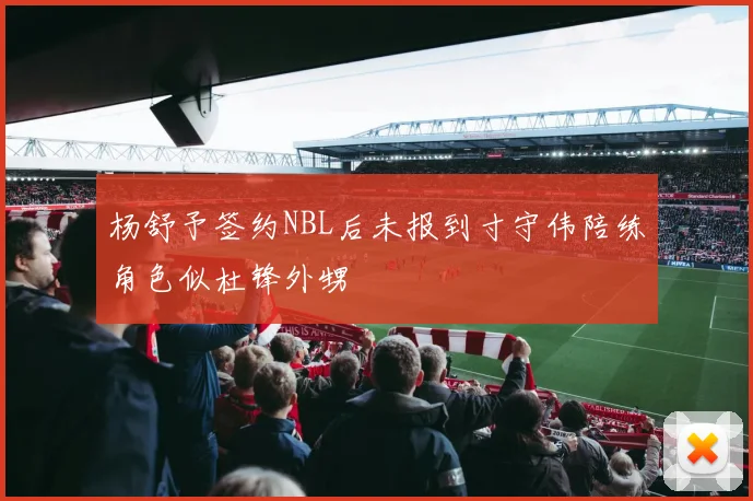 杨舒予签约NBL后未报到寸守伟陪练角色似杜锋外甥