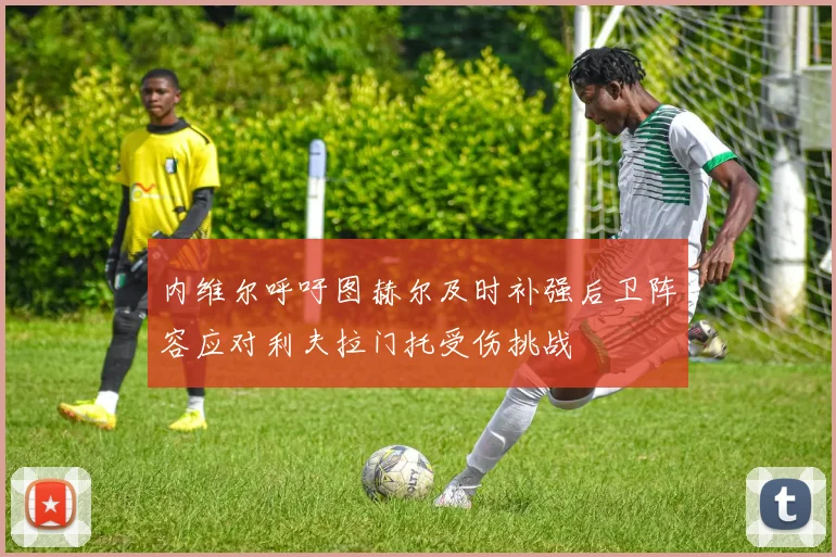 内维尔呼吁图赫尔及时补强后卫阵容应对利夫拉门托受伤挑战